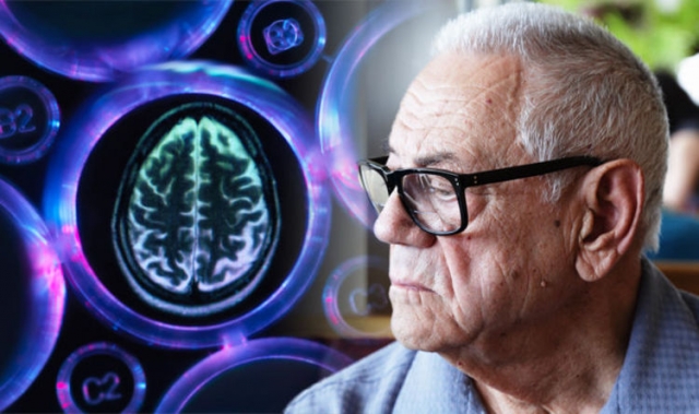 Vascular Dementia Market Size and Growth Driven by Emerging Therapeutics