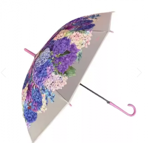 A Transparent Revelation: Why the Clear Umbrella Is the Rain Gear You Never Knew You Needed