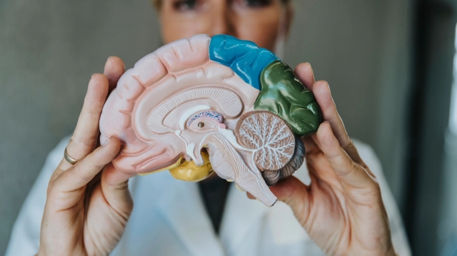 Vasomotor Symptoms Market Growth Driven by Advanced Therapeutics Innovation