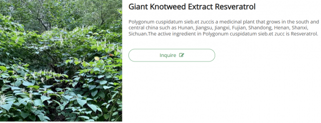 Giant Knotweed Extract: A Comprehensive Guide to Its Benefits, Applications, and Market Value