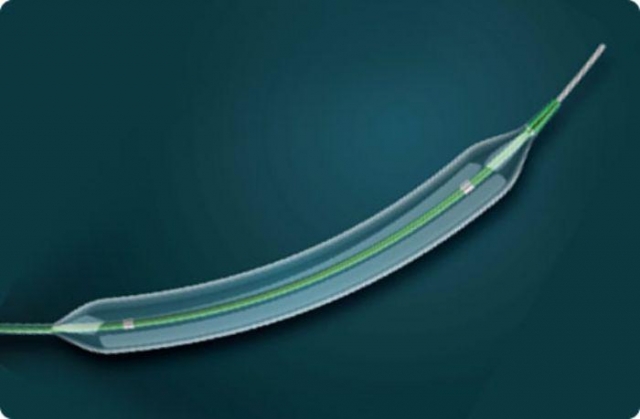 PTA Balloon Catheter Market Poised for Robust Growth Amid Technological Advancements