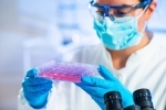 Stem Cell Therapy Market Growth Driven by Advanced Regenerative Techniques