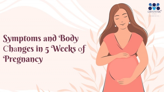 Symptoms аnd Body Сhаnges in 5 Weeks оf Pregnancy