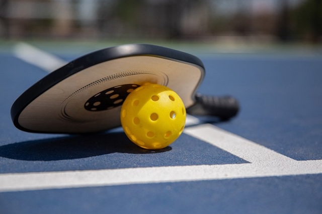 Pickleball Mastering the Court, Racket, and Ball for Fun and Success