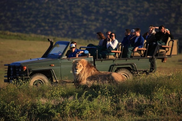 A Dual Adventure: Exploring South Africa Scandinavia Guided Tours