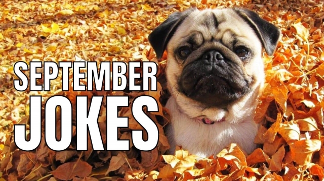 September Jokes: Adding Laughter to the Autumn Breeze