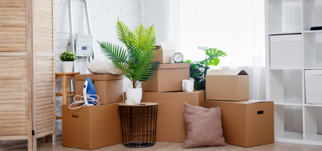 7 Things to Get Before You Move 