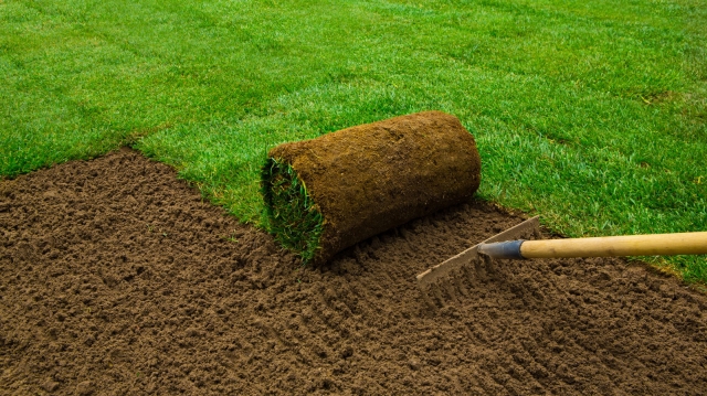 Landscape Contractors: Sod Installation Services in Los Angeles - Find the Best Near You!