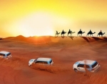 Unveiling the Mystique of Desert Safari Dubai: An Adventure Beyond Imagination