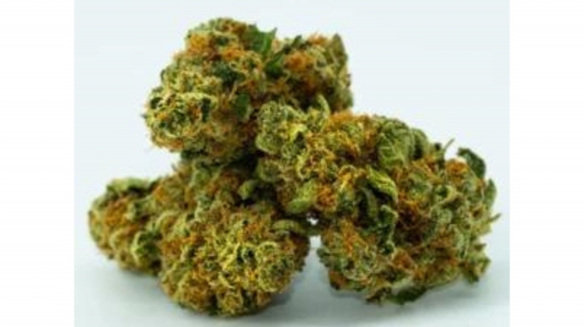 Weed Delivery in Toronto: Is it the Right Choice for You?