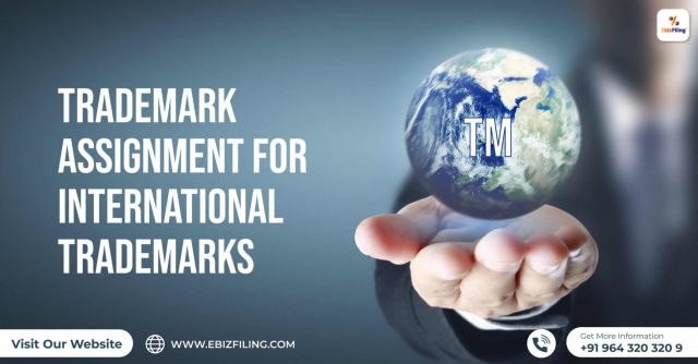 Procedure for International Trademark Assignment