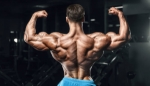 Enhanced Nitrogen Retention: The Key to Muscle Growth with Anabolic Steroids*