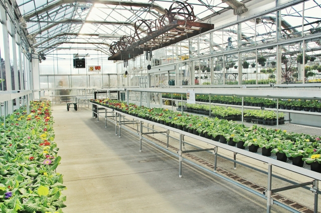 Revive and Protect: A Guide to Conservatory Spraying