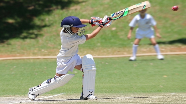 Cricket Helmets