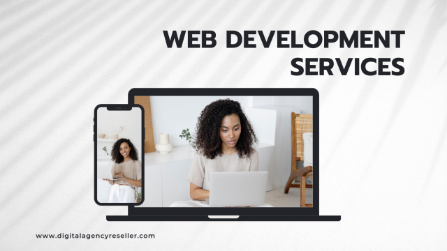 Unleash Your Digital Potential with Web Development Packages