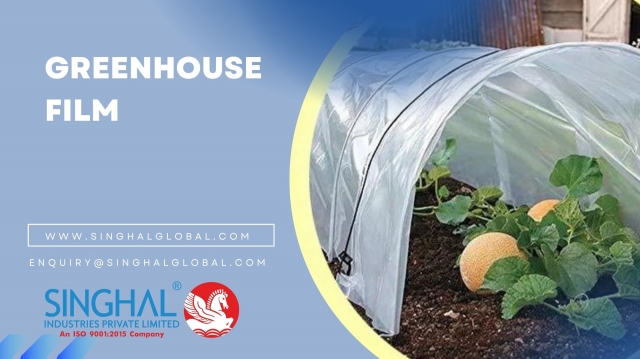 Harnessing Growth with Greenhouse Plastic Film: A Comprehensive Guide