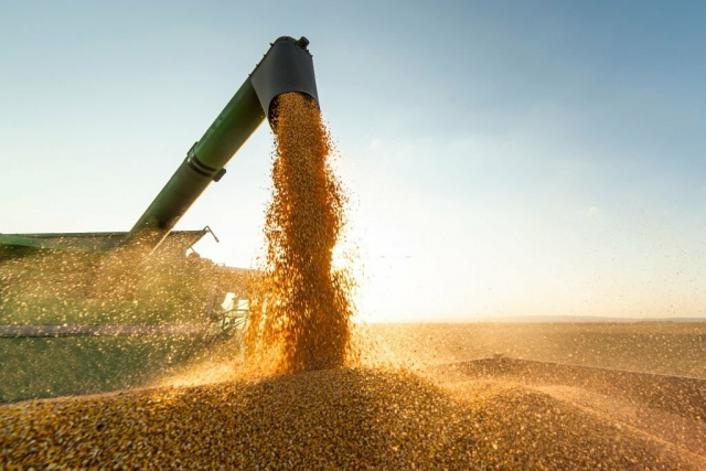 The Importance of Choosing the Right Fertilizer