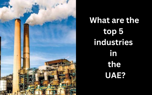 What are the top 5 industries in the UAE?