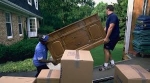 Movers regarding Change for better Effects of Apartment Movers around Dubai