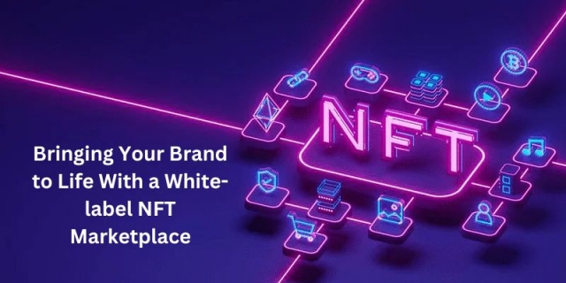 Bringing Your Brand to Life With a White-label NFT Marketplace