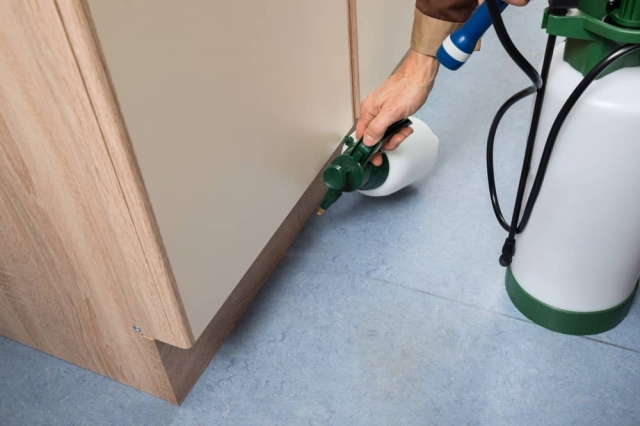 Eradicating Pests: Your Trusted Bed Bug Exterminator in Cypress, TX
