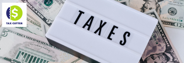 Deciphering Dues: A Texan Tale of Property Tax Reduction Wisdom