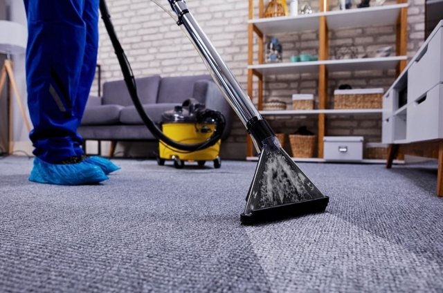 Carpet Cleaning Tauranga: Unveiling the Pinnacle of Professionalism