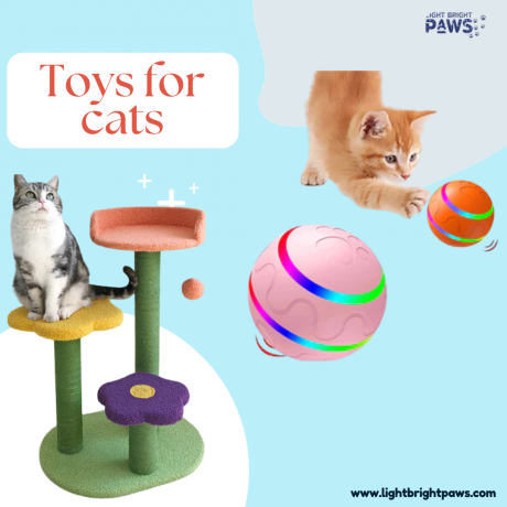 Play with this - not that! How to choose the best cat toys?