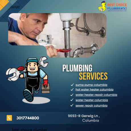 Navigating Home Comfort: Water Heater and Plumbing Repair in Columbia