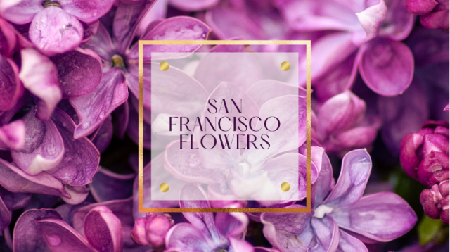 Floral Splendor Unveiled: Navigating San Francisco's Blossoming Scene