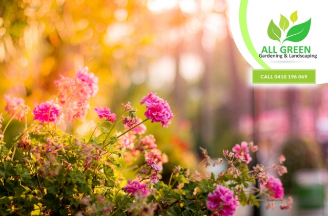 Sustainable Style: Eco-Friendly Garden Makeover