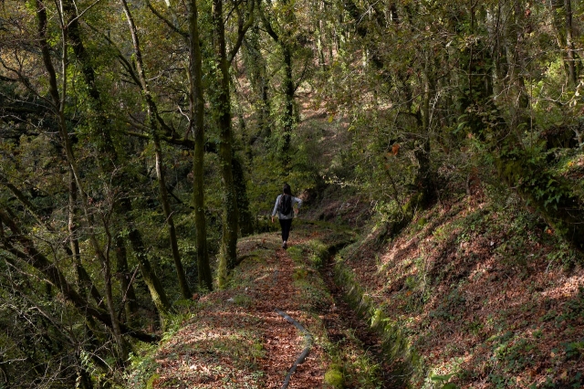 Exploring Home Detox in California: The Recovery Journey Starts at Home