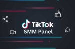 Maximizing TikTok Reach: Expert Insights on SMM Panel Usage