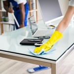 Professional Cleaning Services in Mumbai