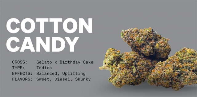 Exploring Different  Flavor is Blue Cotton Candy 