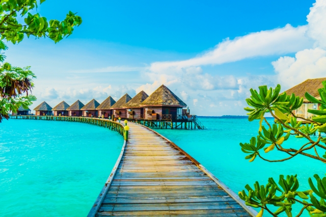 Embark on Bliss: Crafting the Perfect Maldives Honeymoon Package Itinerary