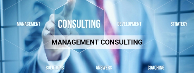 The Role and Impact of Management Consultants in Business