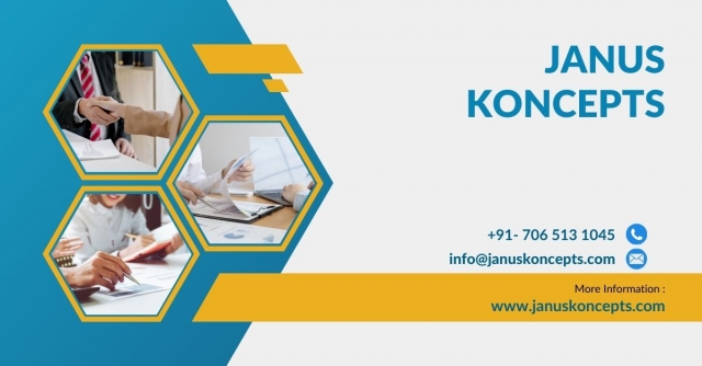 Unlocking Digital Achievement: Why Select the Holistic Method of Janus Koncepts