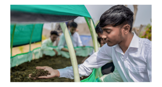 Choosing The Right M.Sc. Agriculture Specialisations