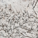 Beyond Beauty: Ensuring Quality in Indian Granite