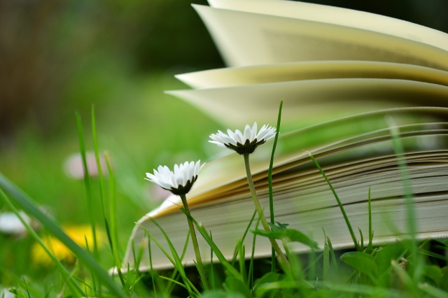 Fun Without Screens: Rediscovering Offline Hobbies