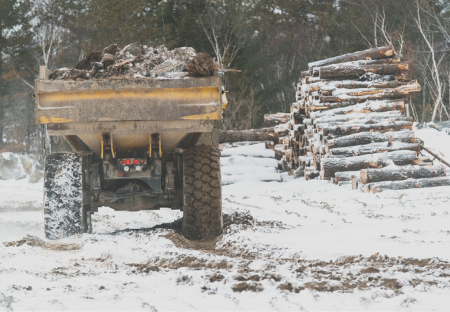 The Importance of Snow Hauling Services for Businesses