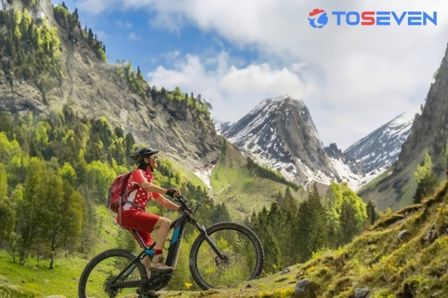 Elevate Your Ride The Ultimate Guide to Ebike Hub Motors