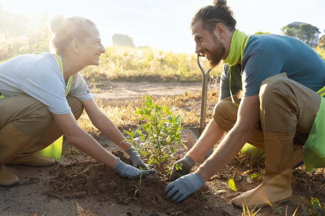 How to Care for a Tree: 4 Simple Tips