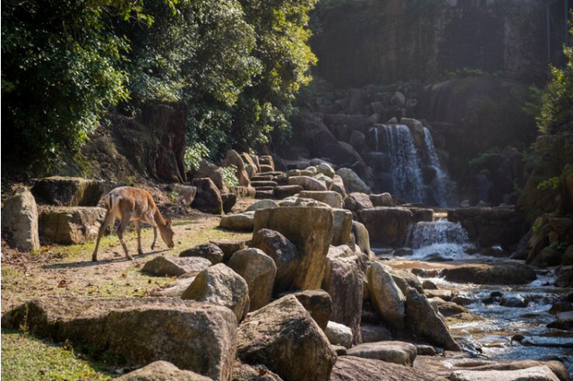 Guatemalan Gems: Must-Visit Places to Explore in this Central American Paradise
