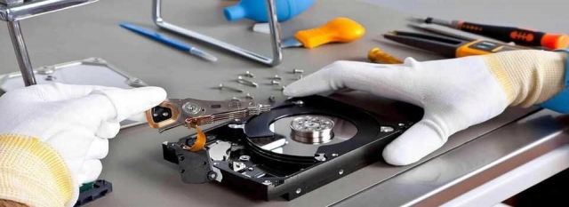 Decoding the Dynamics of Professional Data Recovery Services