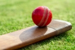 U Zaw Win Swe: A Cricket Maestro's Journey