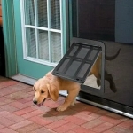 The revolution of built-in doggie doors for effortless pet access