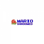 Unlocking Nostalgia: Mario Shroomed Takes You on a Journey Through Classic NES Games Online
