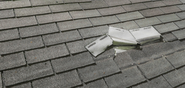 Facts You Should Know About Single-Ply Roofing: Dispelling Common Myths